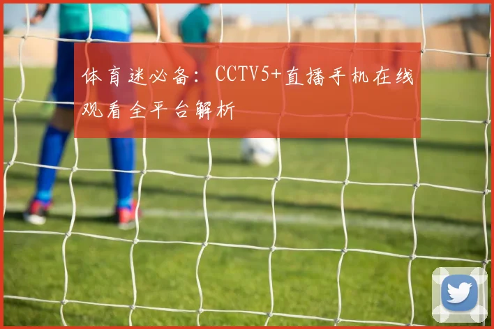 体育迷必备：CCTV5+直播手机在线观看全平台解析