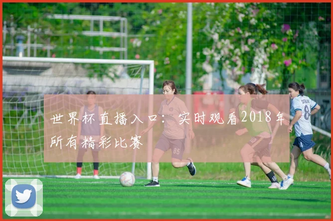 世界杯直播入口：实时观看2018年所有精彩比赛